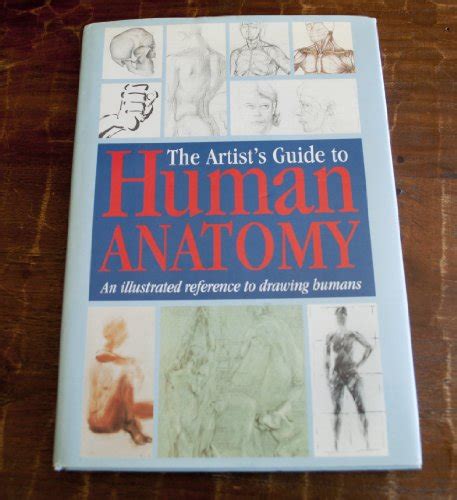 The Artists Guide To Human Anatomy An Illustrated Reference To