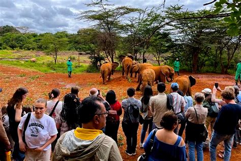 Best Kenya Tour Operator One More Adventure Safaris
