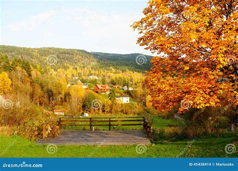 Autumn Forest Over Grassland In Telemark Norway Stock Photo Image