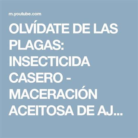 Olv Date De Las Plagas Insecticida Casero Maceraci N Aceitosa De Ajo