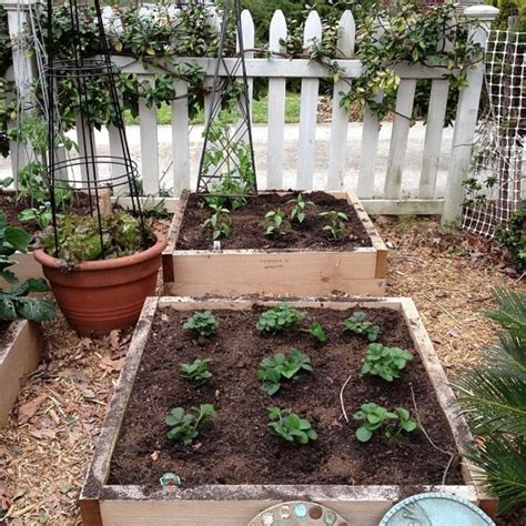 How To Grow Fruits And Vegetables In Your Garden Vegetable Garden