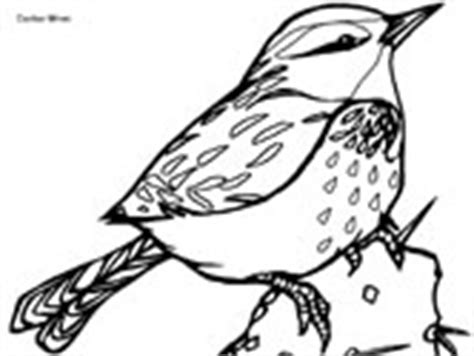 Wren and yellow jessamine south carolina. Bird Coloring Pages