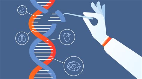 遺伝子とは？dnaとは？染色体、ゲノムなど関連語含めわかりやすく解説！ Lab Brains