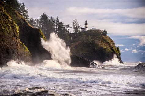 10 Facts About The Pacific Northwest Coastline Explorer Sue Your