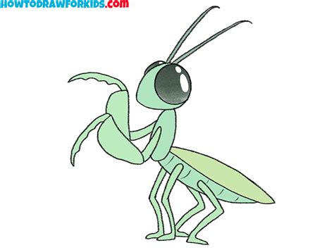 How To Draw A Praying Mantis Easy Drawing Tutorial For Kids