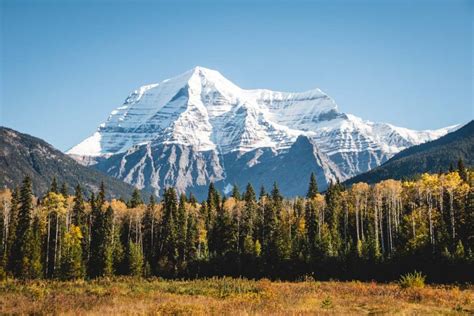 Reisebericht Westkanada Into The Wild British Columbia And Alberta