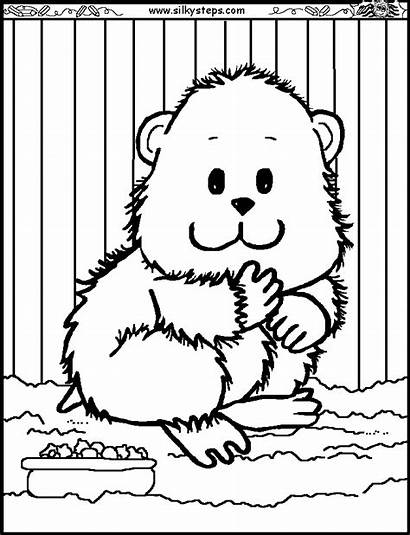 Coloring Hamster Pages Cage Colouring Clipart Printable