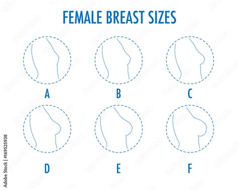Set Of Round Line Icons Of Different Female Breast Size Body Side View