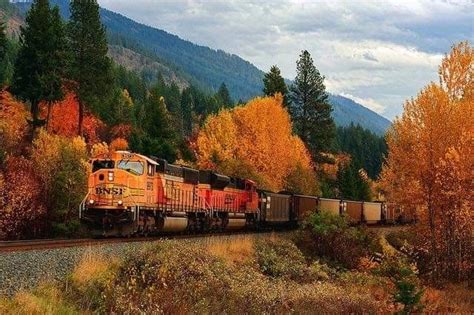 Pin By My Info On Trains Scenery Fall Pictures Train