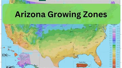 Planting Zones In Arizona Growing Guide