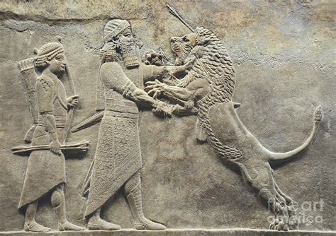 The Lion Hunt Of Ashurbanipal Babylon Akkadian Mesopotamian
