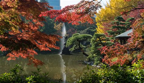 15 Most Beautiful Park From Around The World