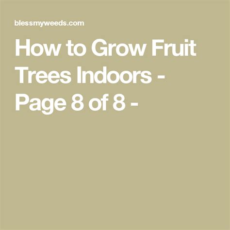 How To Grow Fruit Trees Indoors Page 8 Of 8 Fruit Trees In