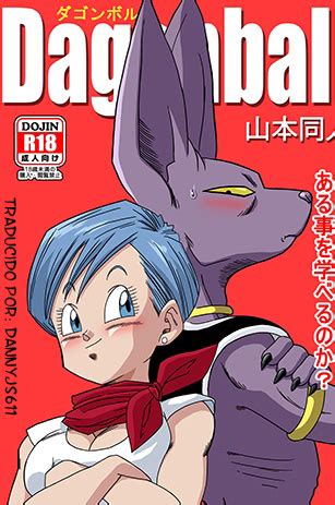 Bulma And Beerus Dragonbalsuper Anime Pinterest Dragon Ball