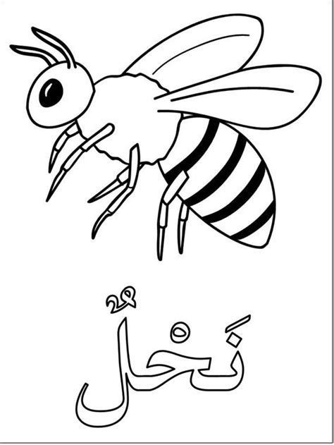 83 Download Gambar Mewarnai Lebah Terbaru Ukiranku