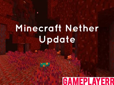 Minecraft Nether Update 116 Wiki Release Date 2020 Biomes Mobs