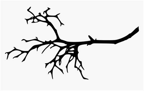 Tree Branch Silhouette Png Tree Branch Vector Silhouette Transparent