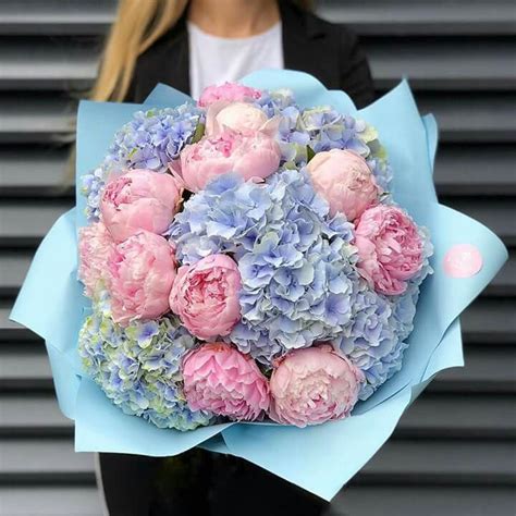 Blue Peonies Instead With White Hydrangea Beautiful Flower