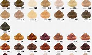 Ion Gray Hair Color Chart Dark Red Purple Hair Color