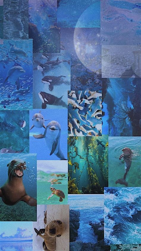 Ocean Aesthetic Collage Wallpaper