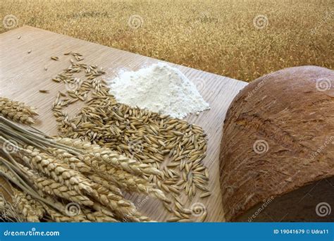 Bread And Grains Stock Image Image Of Oats Agriculture 19041679