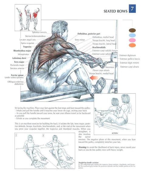 Most people enjoy working the chest, because they can easily see and feel the muscles as they. 65 best images about fitness on Pinterest | Discover more ideas about Beyond the boundary ...