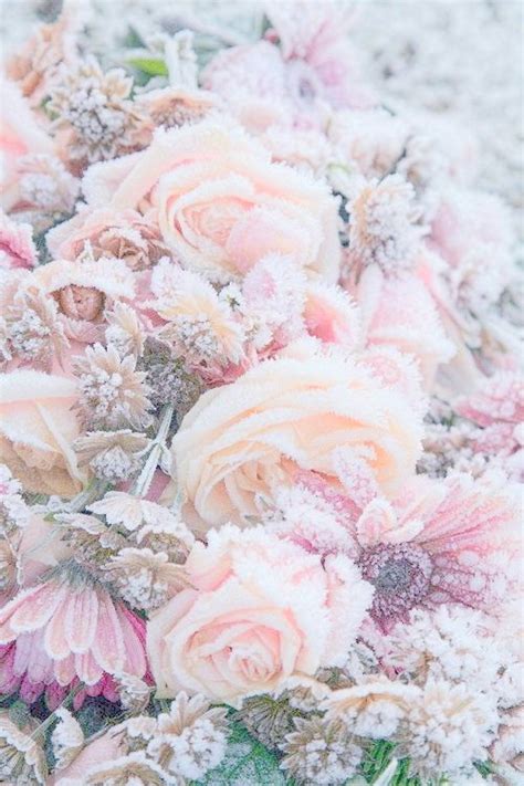 We did not find results for: sweetyunicorn: ~ pink ~ pastel ~ fashion ~ kawaii ~ | Fall ...