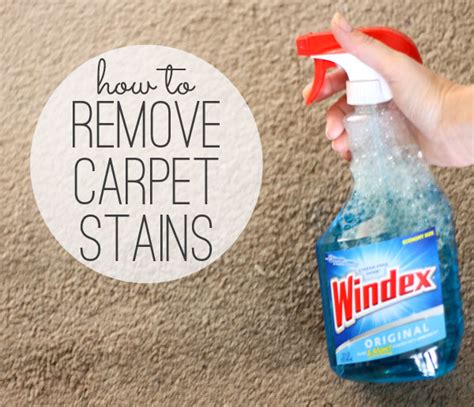 Cleaning Tips 10 Quick And Easy Ideas For All Around The House