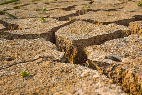 Where the land is flat, the processes of energy exchange and of water inflow and release tend to be vertical, so the soil. Lesson 6.02 Soil Formation