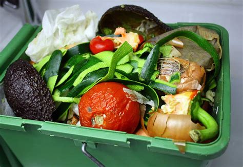 The 7 Benefits To Recycling Food Waste That Everyone ...
