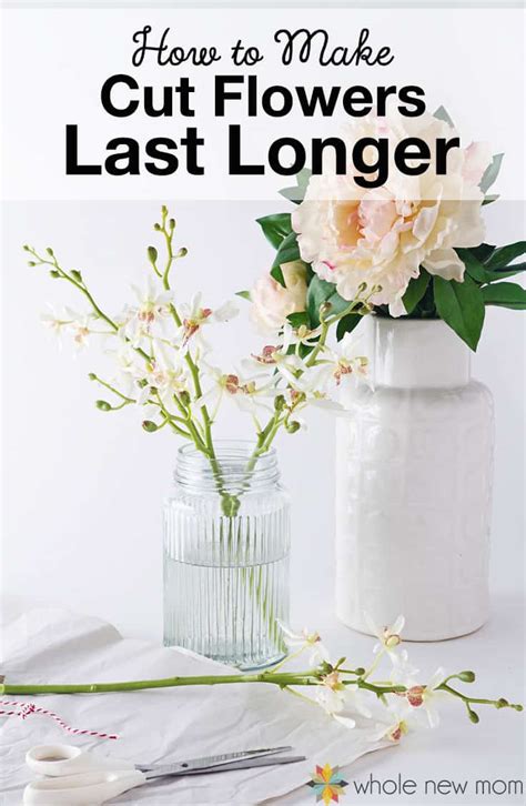 How To Make Flowers Last Longer Plus The Best Method Of All