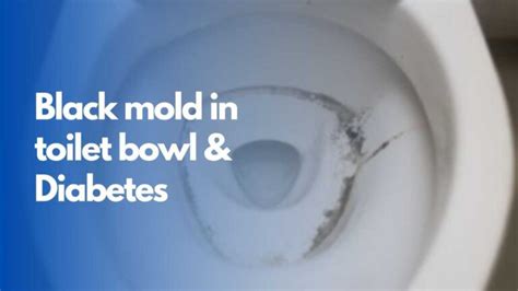 Black Mold In Toilet Bowl And Diabetes Wapomu Health And Wellness