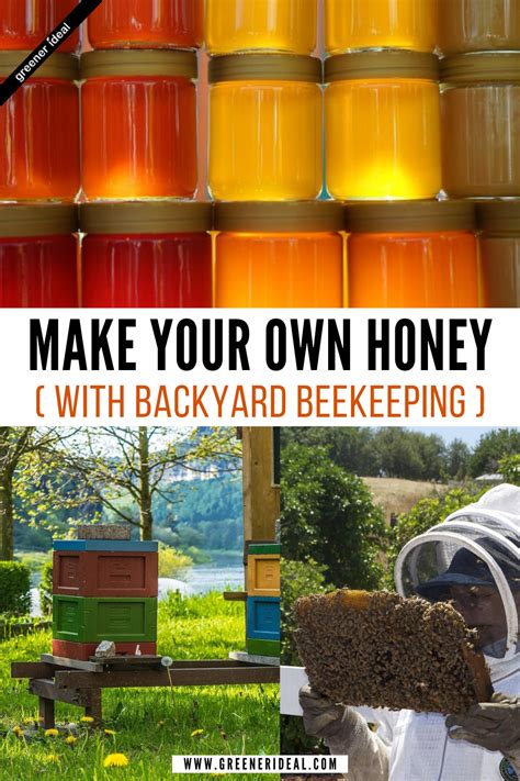 How To Start Beekeeping And Make Your Own Honey Homemade Maple Syrup