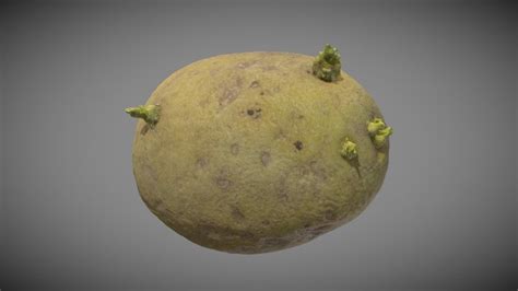 potato 3d models sketchfab