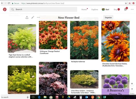 Here are a handful of the benefits of starting from seeds: Using Pinterest for easy garden design - Miss Smarty Plants