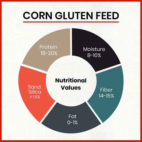 Corn Gluten Feed Manufacturers In India Maize Gluten Feed Suppliers