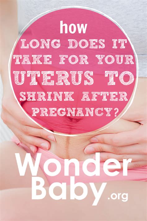 How Long Does It Take For Your Uterus To Shrink After Pregnancy