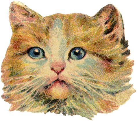 6 Vintage Cat Images Free Scraps The Graphics Fairy