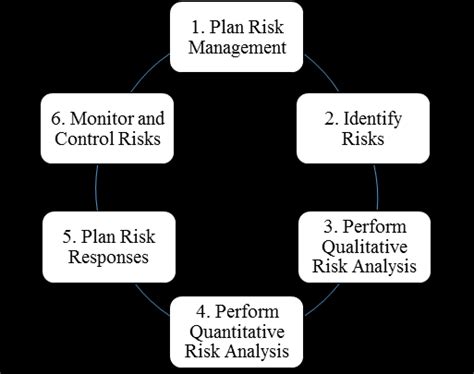 Project Risk Management Process Vi Risk Management Processes 1 Plan