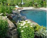 Landscaping Pool Photos