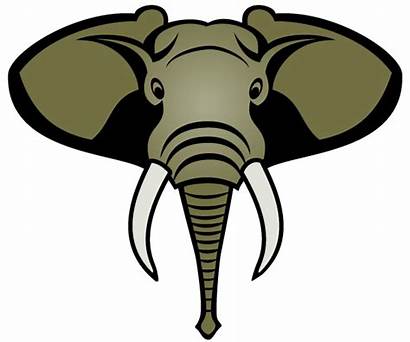 Elephant Head Clipart Vector Designs Face Vectors