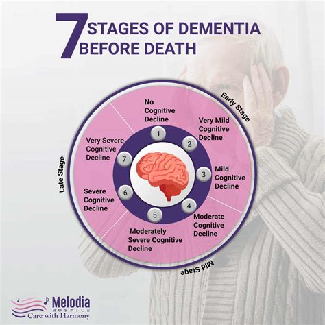 7 Stages Of Dementia Before Death Melodia Care Hospice