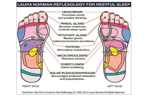 Try This Diy Foot Reflexology Before Bed Lewrockwell