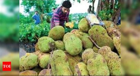 Kerala Jackfruit Declared As Keralas Official Fruit India News