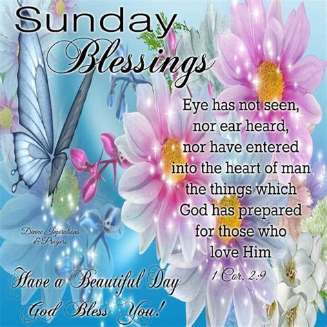 Blessed Good Morning Happy Sunday Quotes M Ulberry