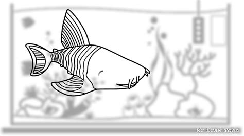 Catfish illustration drawn by one line. Panaque Catfish - How to draw Panaque Catfish - YouTube
