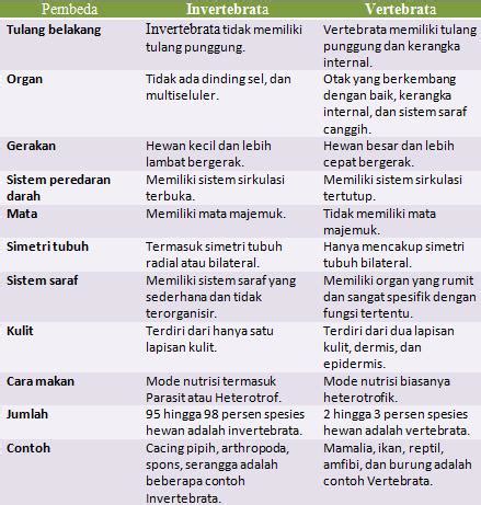 Inspirasi Top Tabel Perbedaan Hewan Vertebrata Dan Avertebrata Konsep