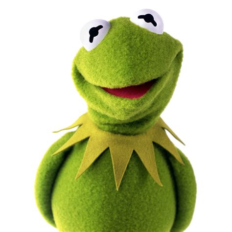 Kermit The Frog Heroes Wiki Fandom Powered By Wikia