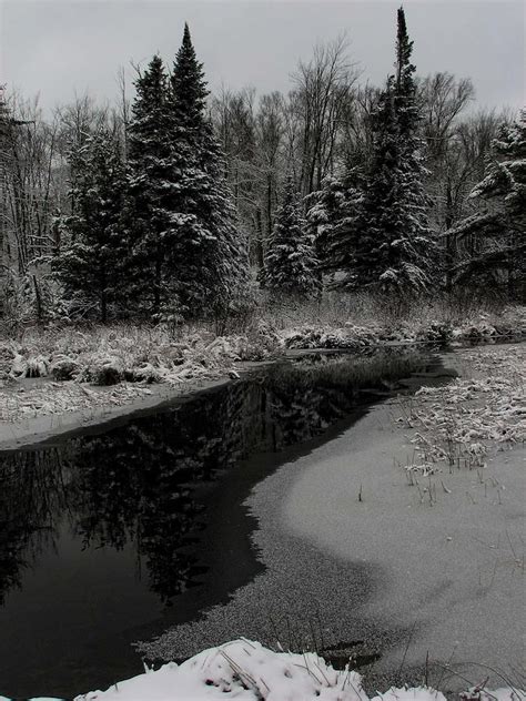 Creek Reflections Photograph By Dale Kauzlaric Fine Art America