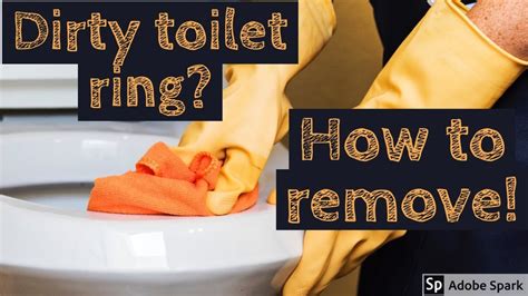 How To Get Rid Of Rings In Toilet Bowls Youtube